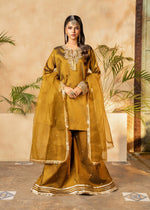 Amber Sharara 17 - Maira FashionMaira FashionAmber Sharara 17