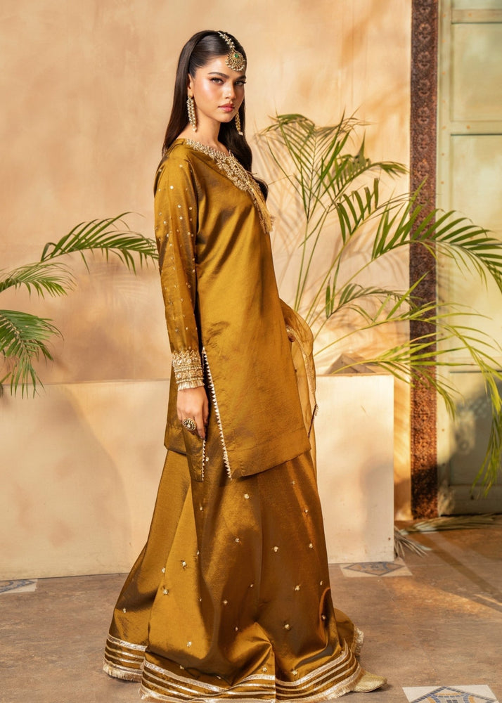 Amber Sharara 17 - Maira FashionMaira FashionAmber Sharara 17